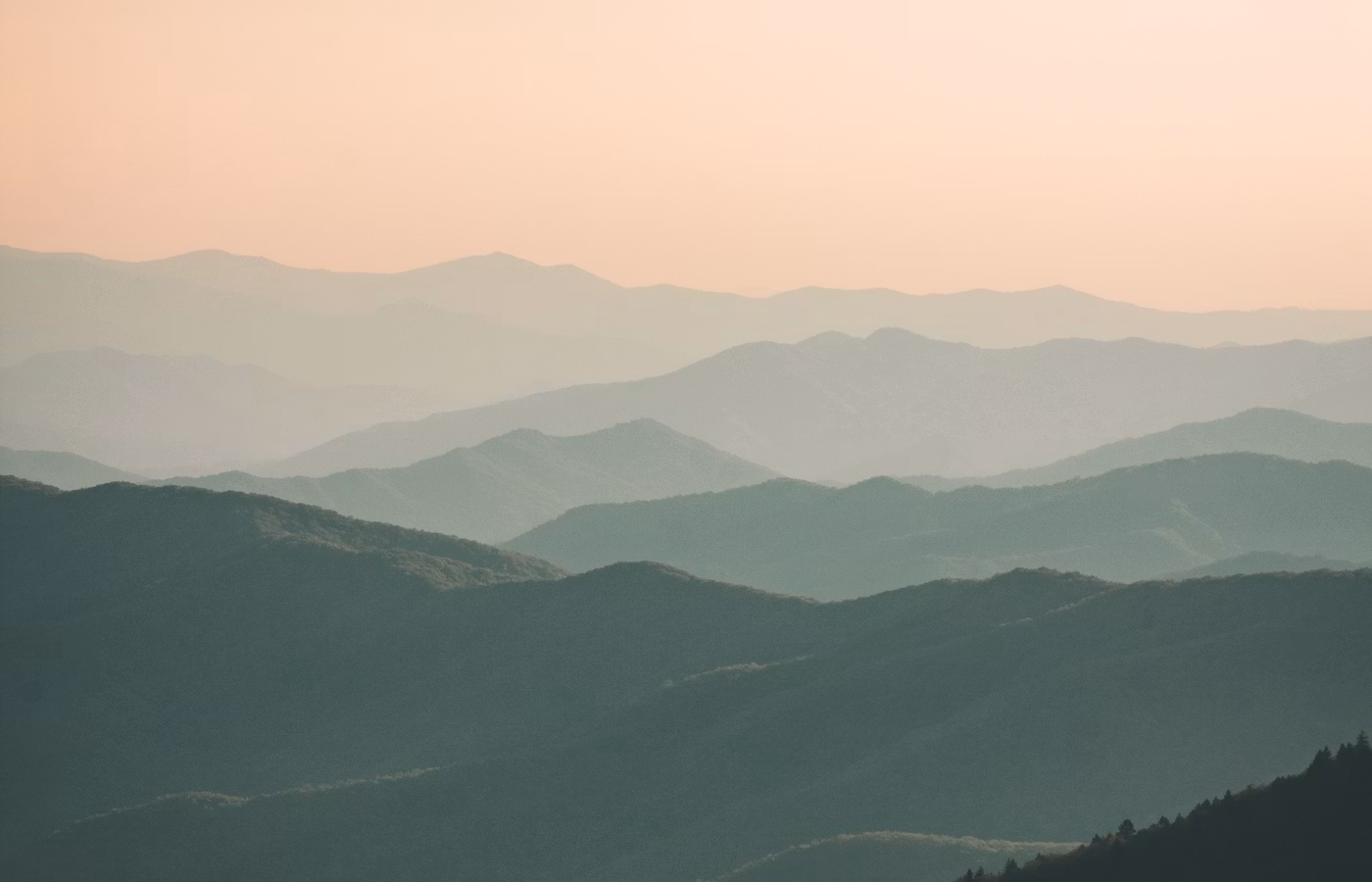 Саморегуляция для эксперта